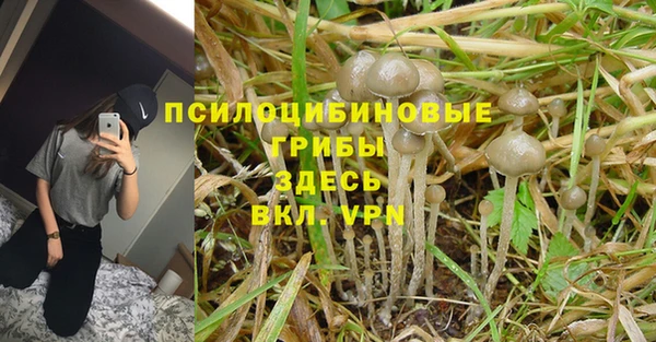 винт Абинск