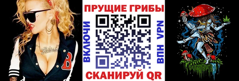 Псилоцибиновые грибы мицелий  дарнет шоп  Алзамай 
